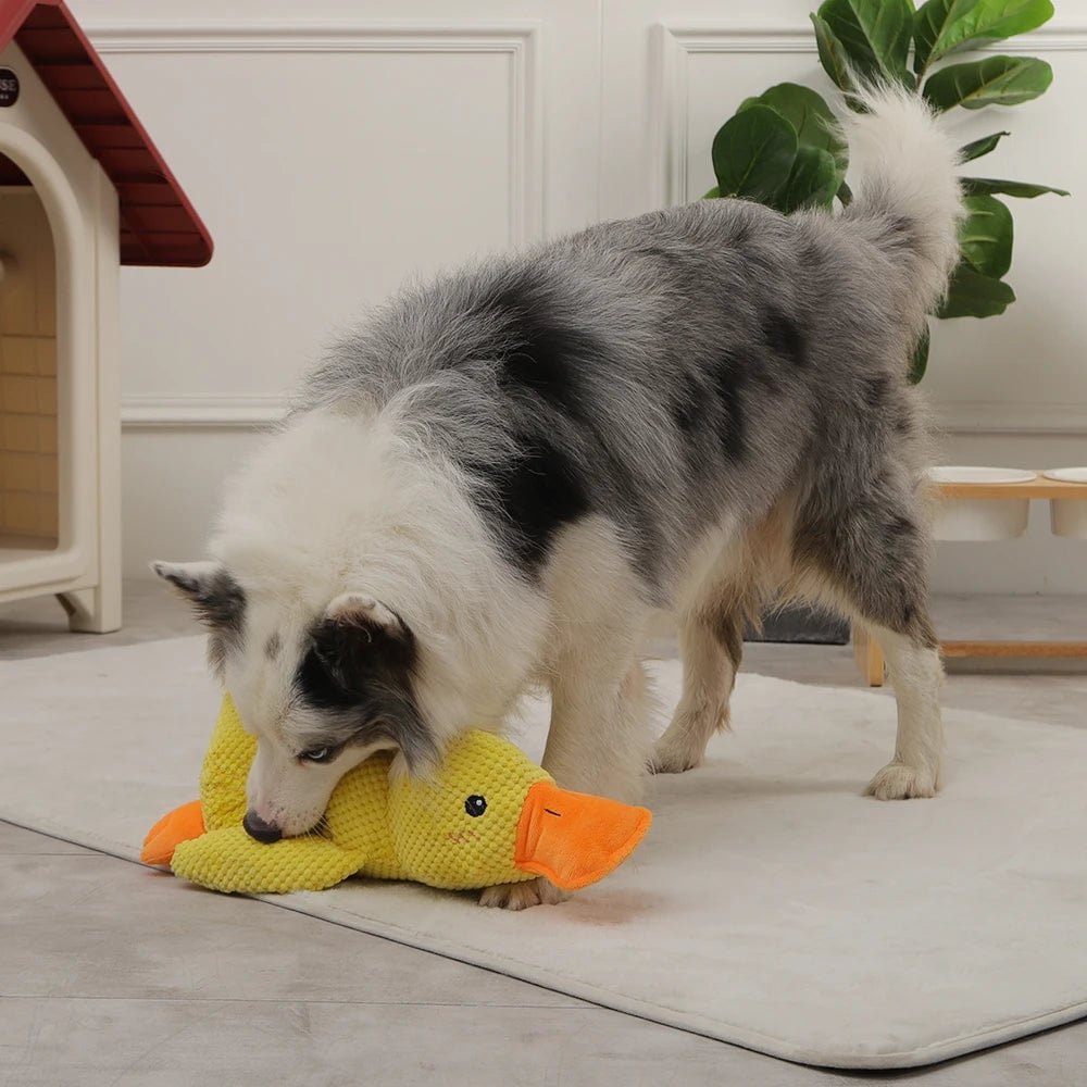 Flappi | Lebhaftes Kauenspielzeug mit Enten Geräuschen