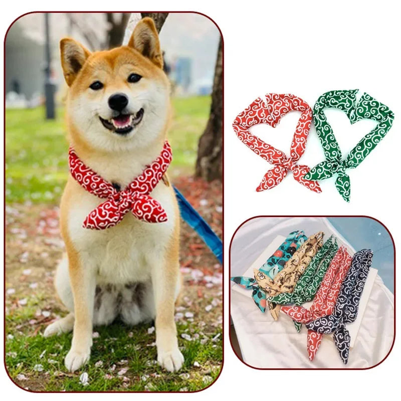 Christoph Bandana Hund