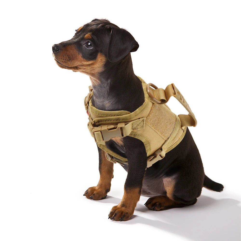 Claus Taktisches Hundegeschirr mit Molle