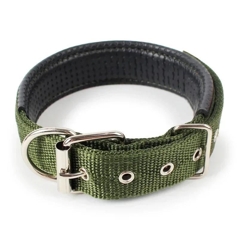 Julius Halsband Hund und Katzen