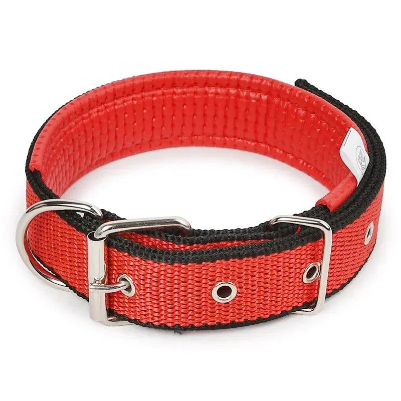 Julius Halsband Hund und Katzen