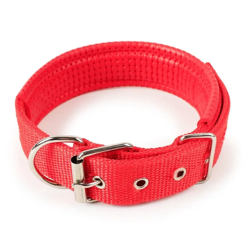 Julius Halsband Hund und Katzen