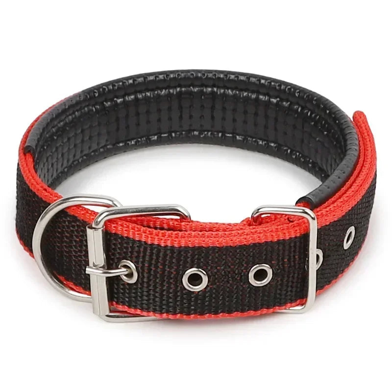 Julius Halsband Hund und Katzen