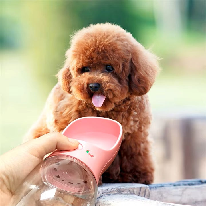Leo | Lekfreie Wasserflasche für unterwegs