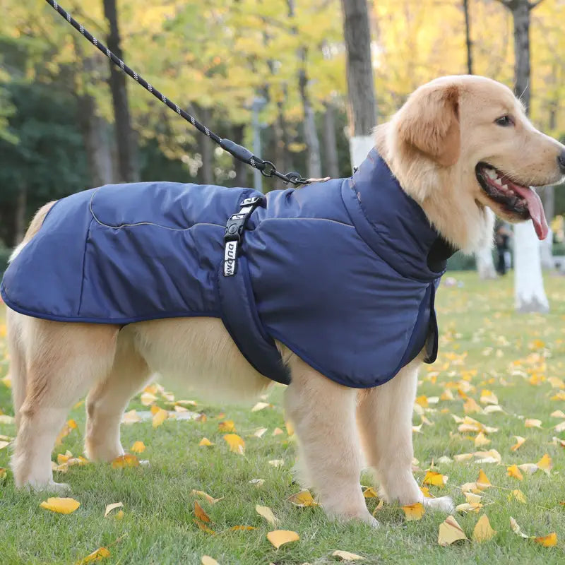 Cody Hundejacke