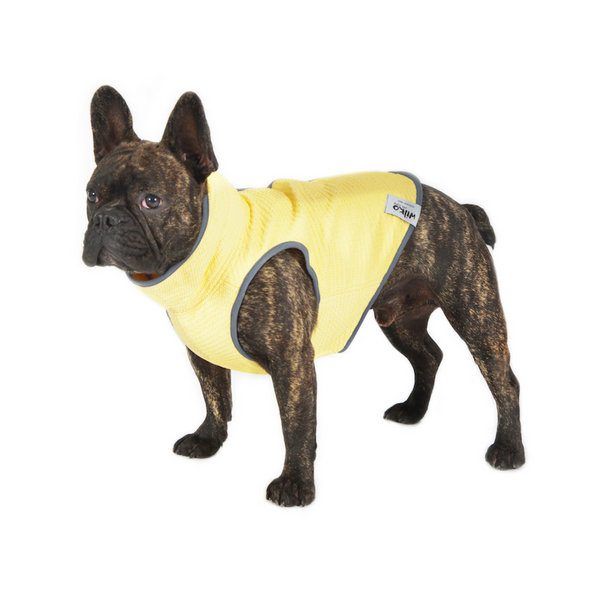 Frosty | Hundekühlweste mit Verdunstungskühlung für heiße Sommertage