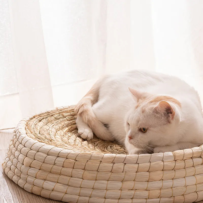 Carlo | Katzennest rund und handgefertigt aus Naturmaterialien – weich und natürlich