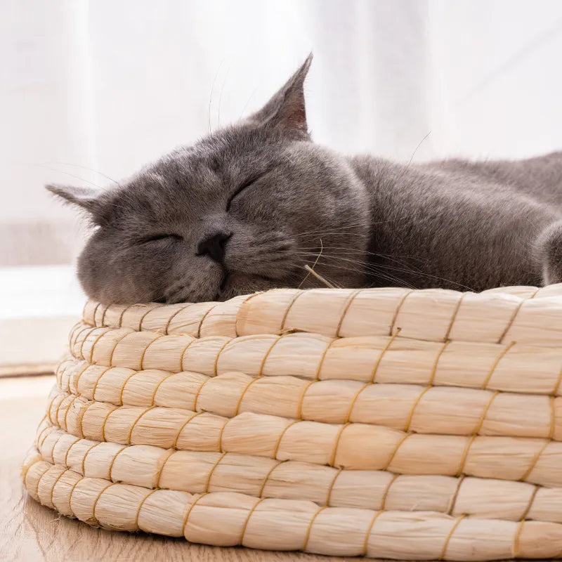 Carlo | Katzennest rund und handgefertigt aus Naturmaterialien – weich und natürlich