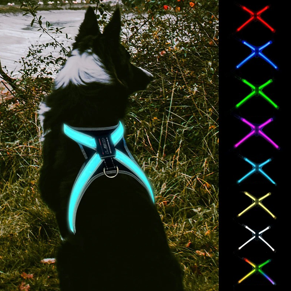 Lasse USB-Aufladbares LED-Hundegeschirr