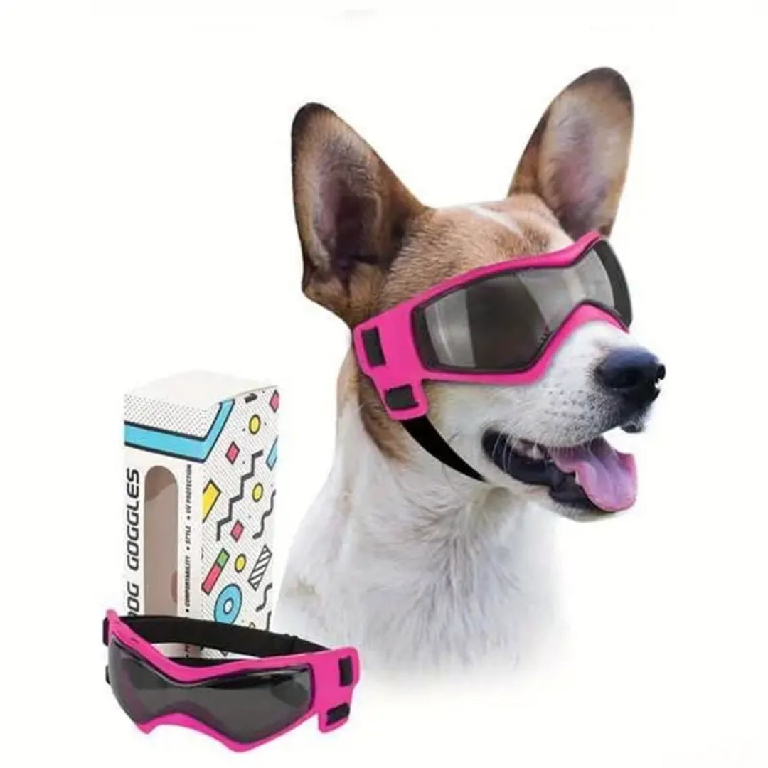 Jack | Hundebrille gegen Schmutz