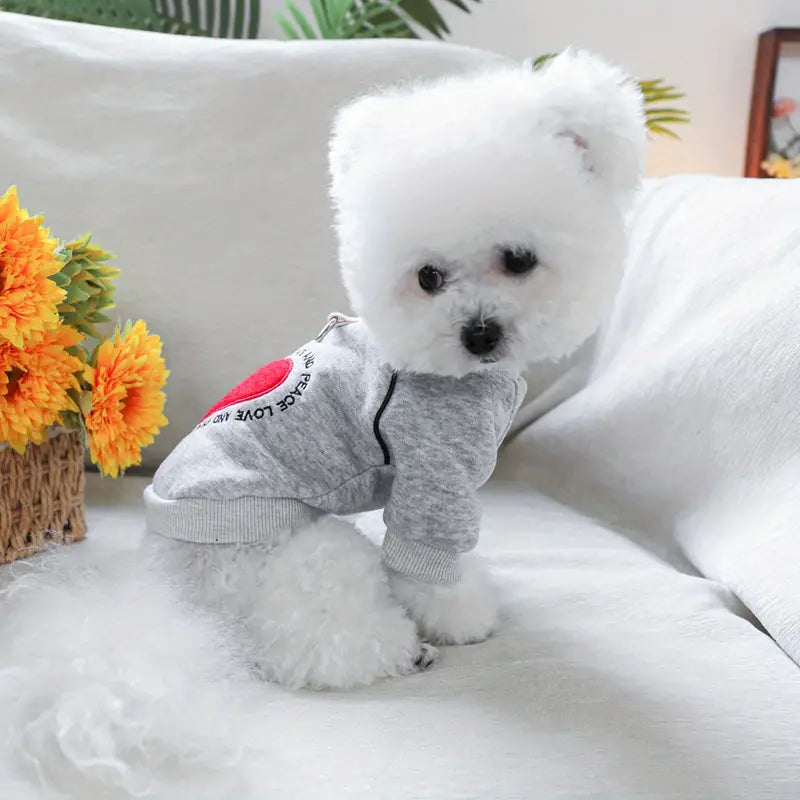 Desire Hunde Pullover mit Herz Design