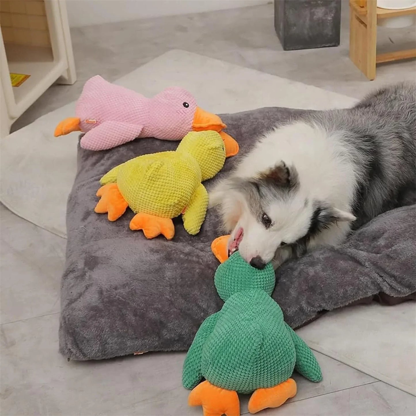 Flappi | Lebhaftes Kauenspielzeug mit Enten Geräuschen
