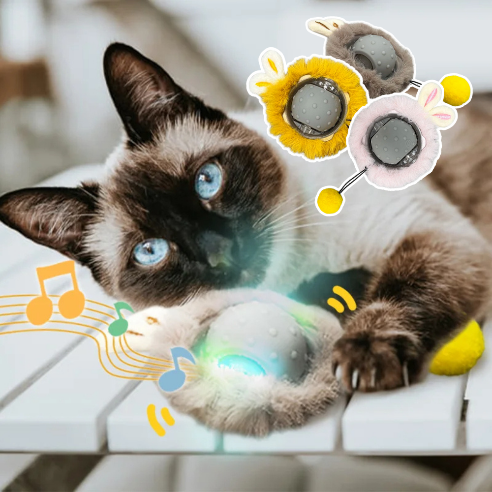 Bärli Interaktives Spielzeug für Katzen