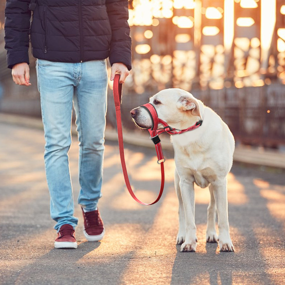 Olaf Maulkorb für Hunde