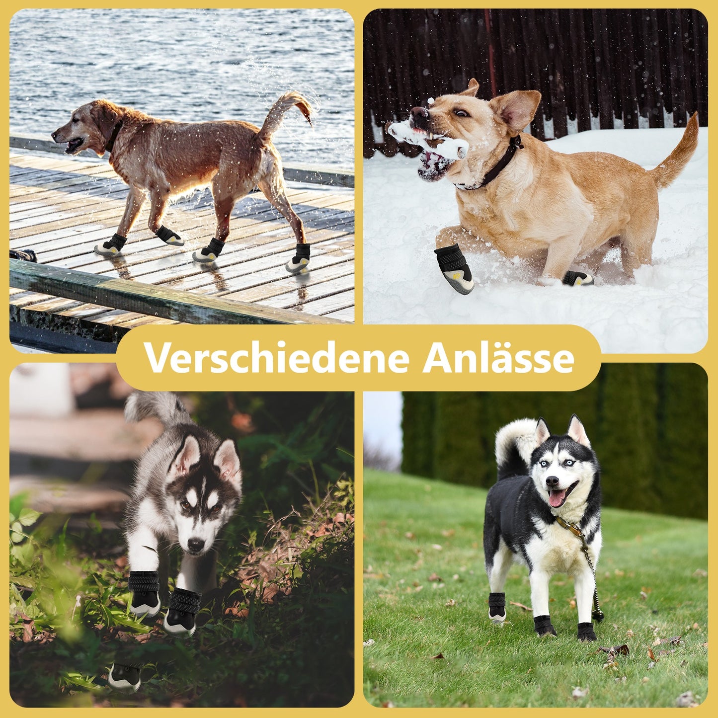 Holly Wasserdichte schützende Hundeschuhe