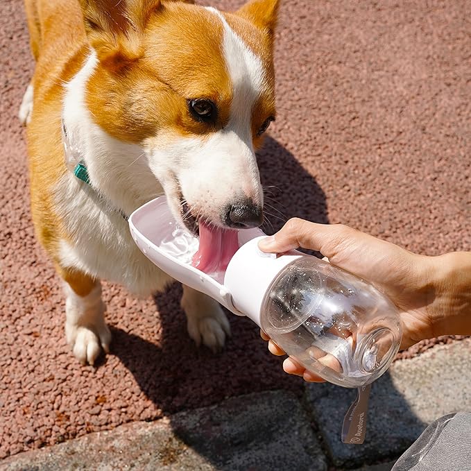 Leo | Lekfreie Wasserflasche für unterwegs