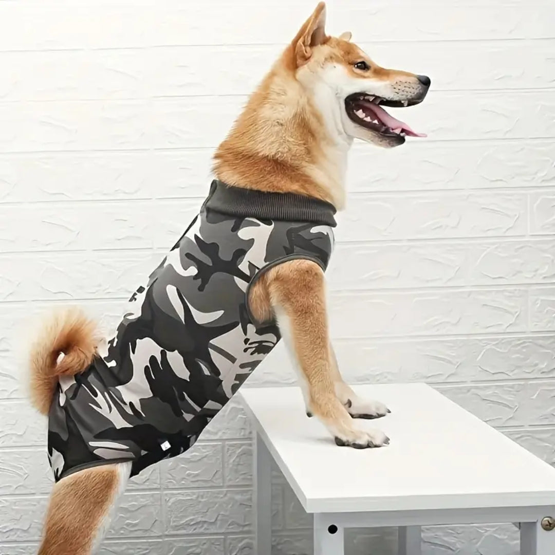 Ziggy Erholungsoverall für Hunde
