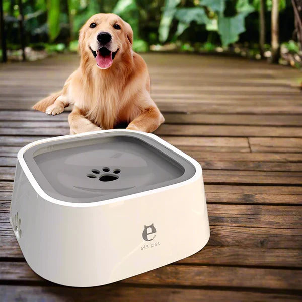 Gracie Trinknapf für Hunde