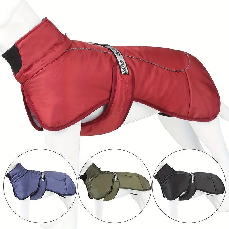 Cody Hundejacke