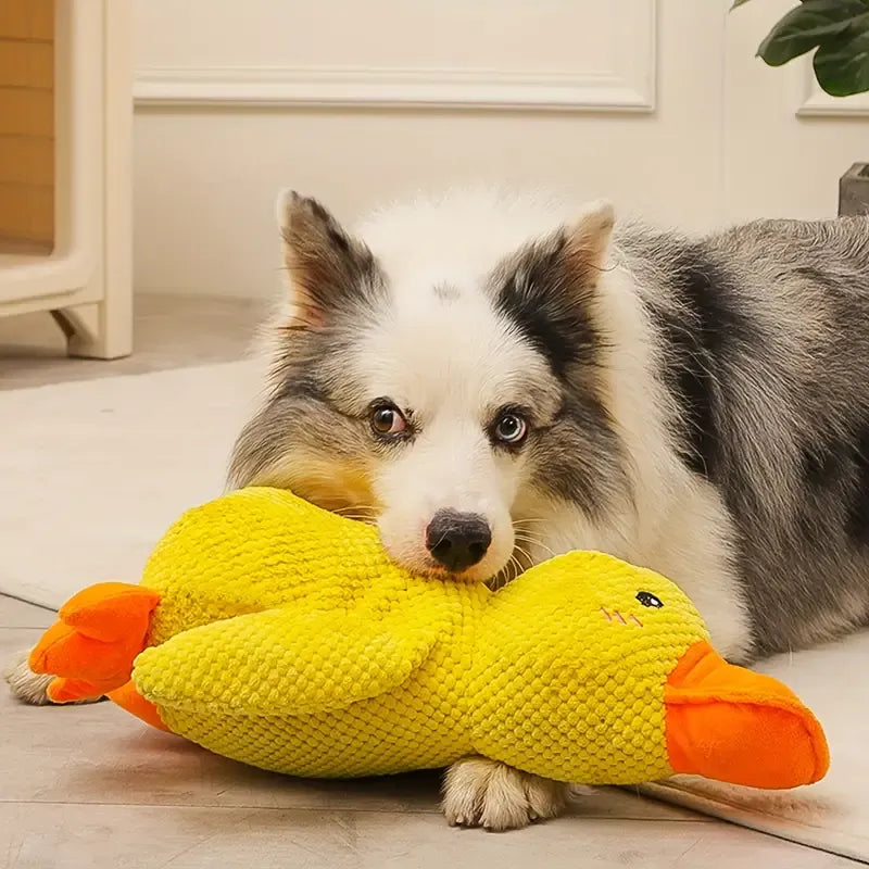 Flappi | Lebhaftes Kauenspielzeug mit Enten Geräuschen