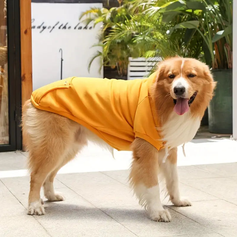 Leona Hunde pullover