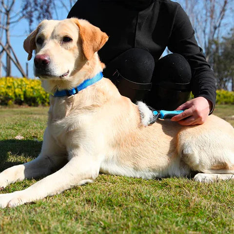 Pippa | Bürste zur Knotenentfernung und sanften Fellpflege
