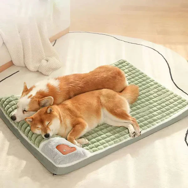 Kimba | Hundebett für Unterstützung und Komfort