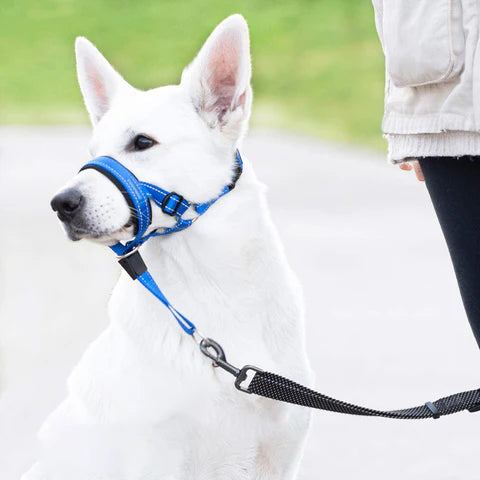 Olaf Maulkorb für Hunde