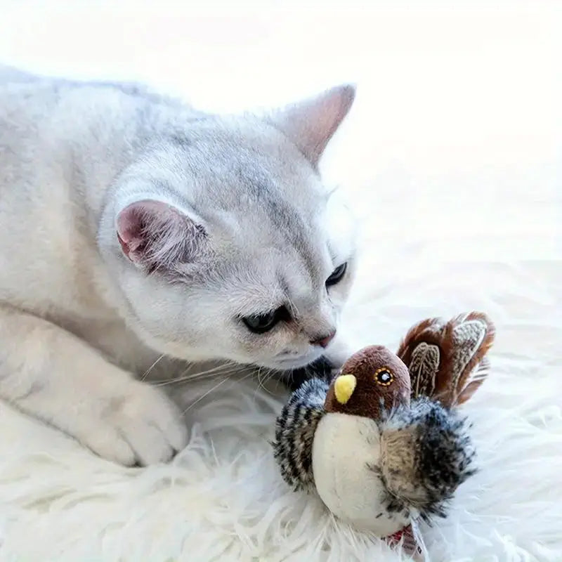 Pfiffi Interaktives Katzenspielzeug