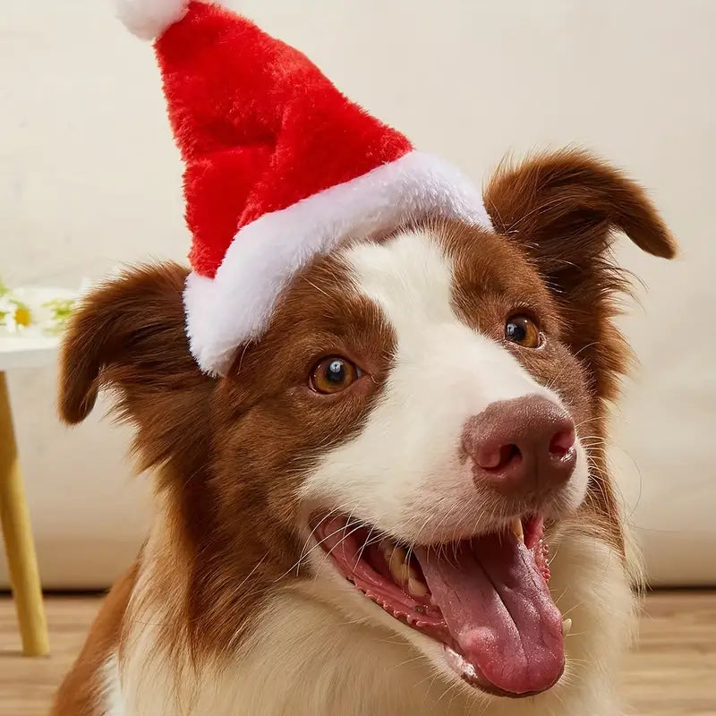 Emmi Weihnachtsmütze für Hunde
