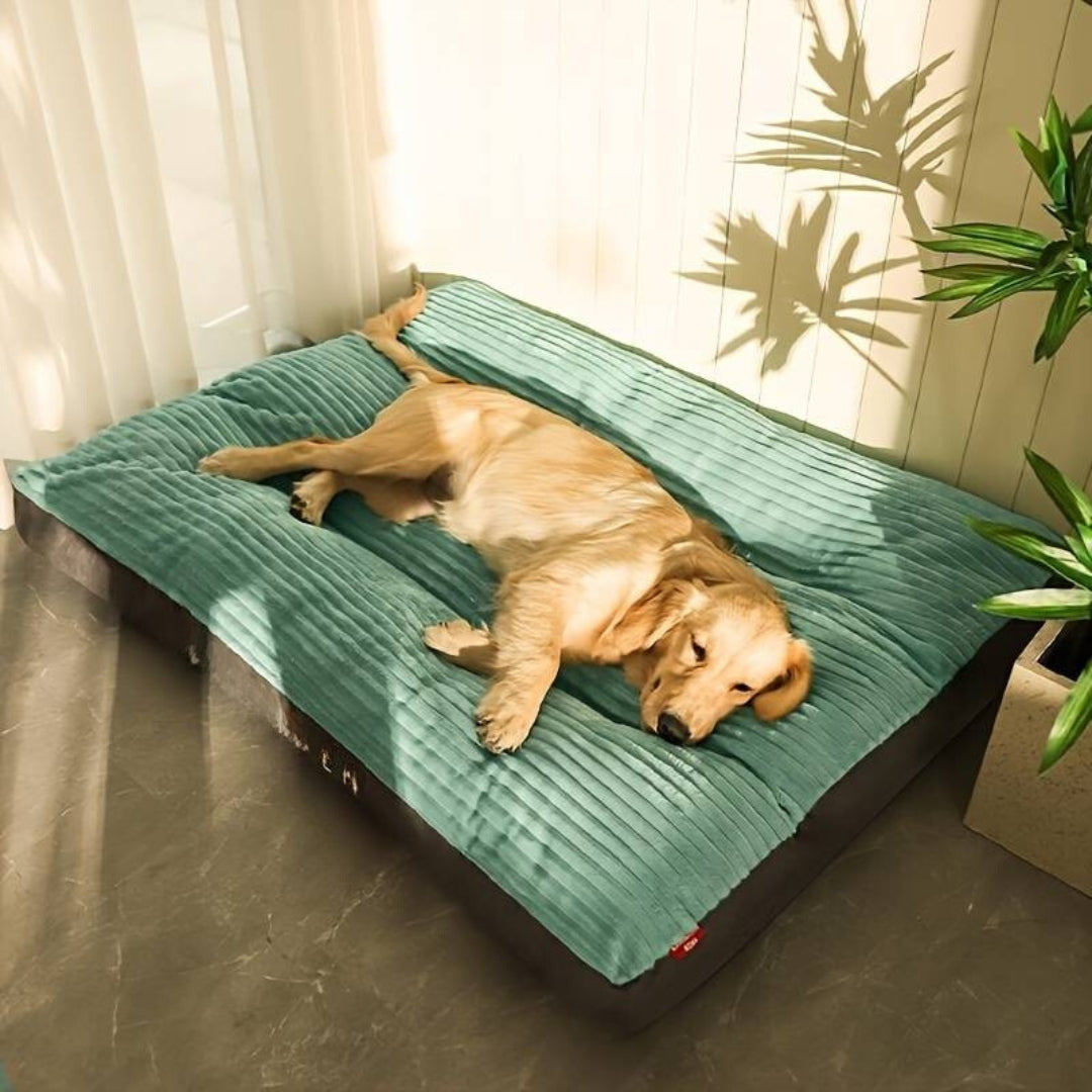 Gisela Unterstützendes Hundebett