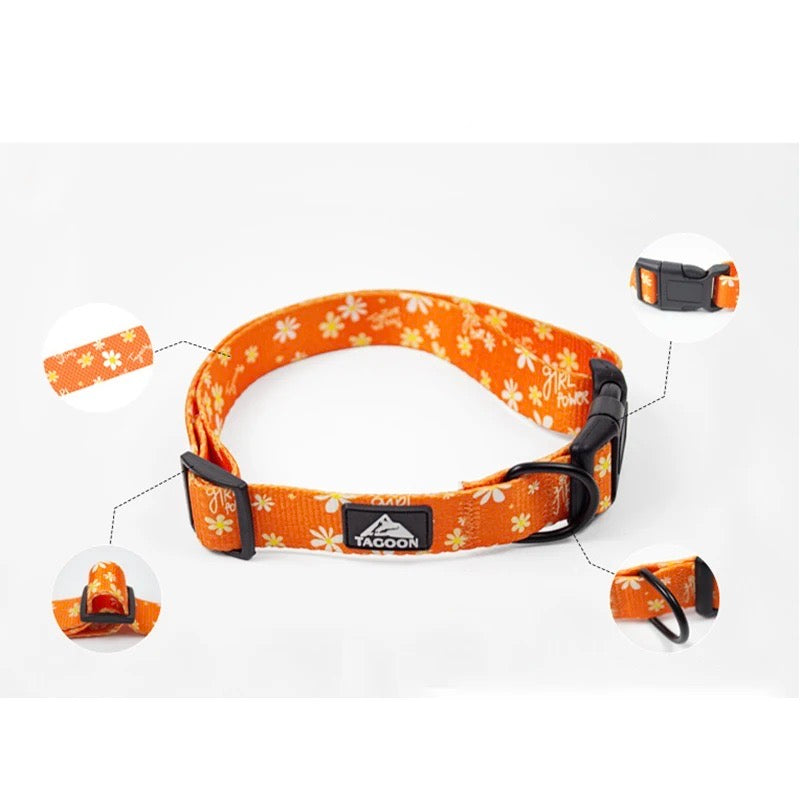Agnes Hundehalsband und Leine