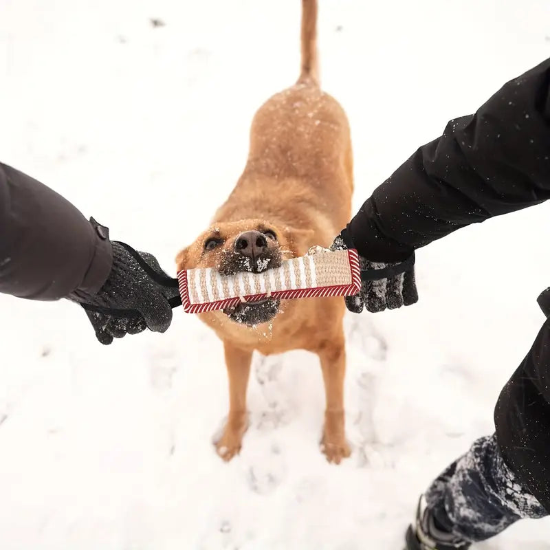 Alfons | Jute Beißrolle für Hunde