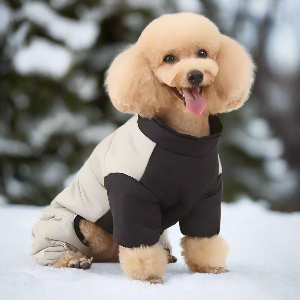 Lutz Hundemantel für Winter