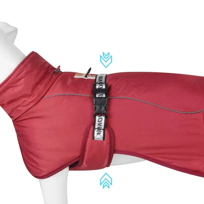 Cody Hundejacke