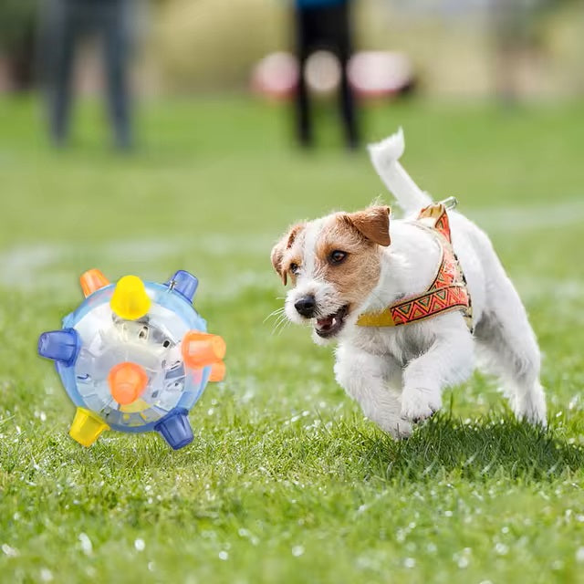 Gerd | Springende Hundeball, die Langeweile reduziert