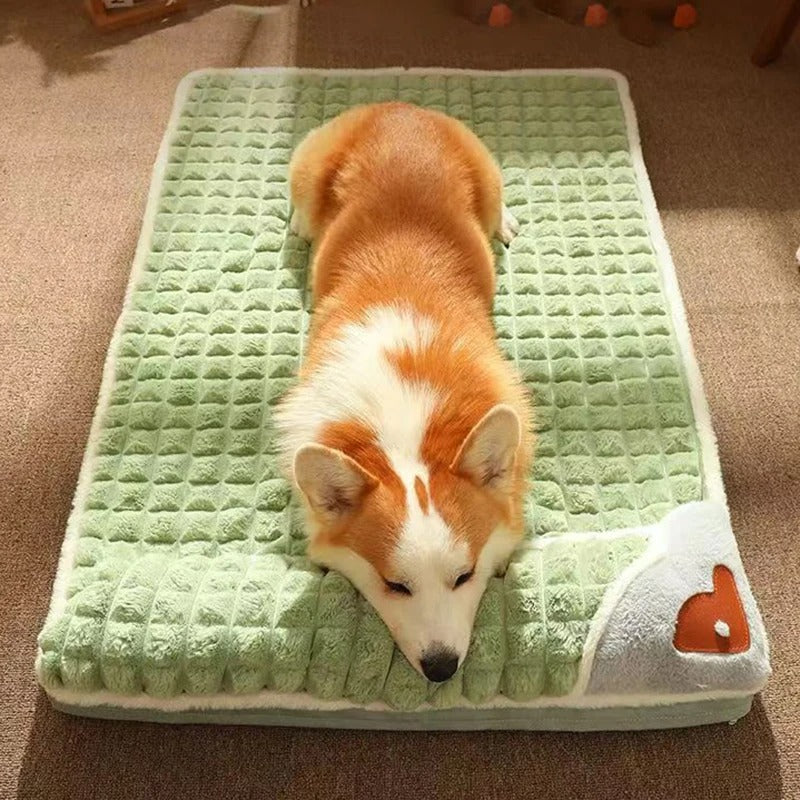 Kimba Hundebett für Unterstützung und Komfort