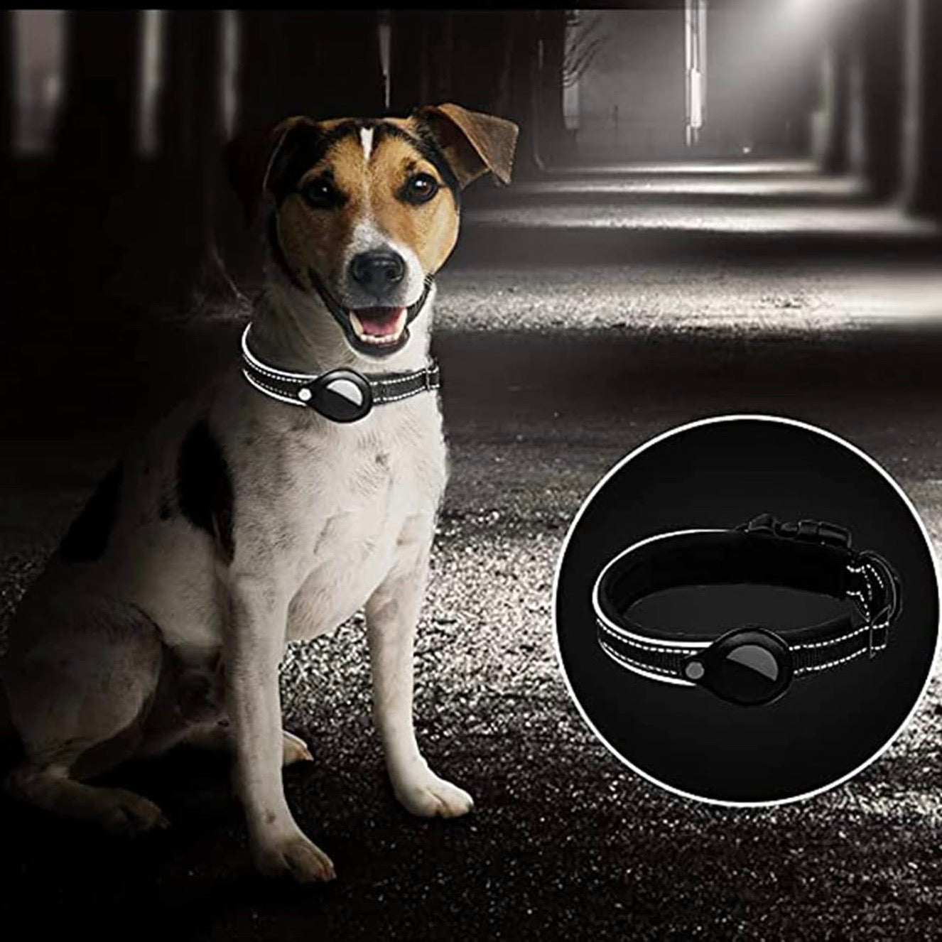 Alfred Reflektierendes Hundehalsband mit AirTag