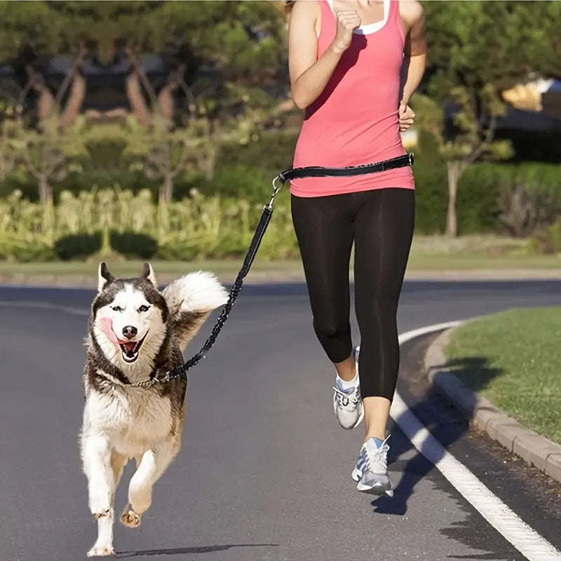Kevin Hundeleine zum Joggen