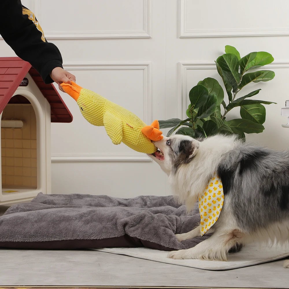 Flappi | Lebhaftes Kauenspielzeug mit Enten Geräuschen