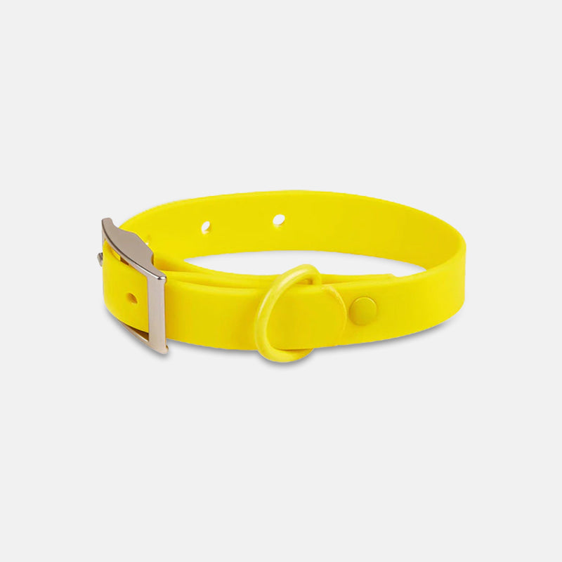Karsten Nylon-Hundehalsband mit Zinkschnalle