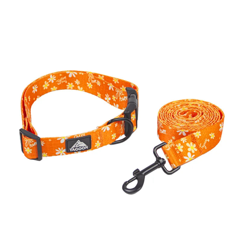 Agnes Hundehalsband und Leine
