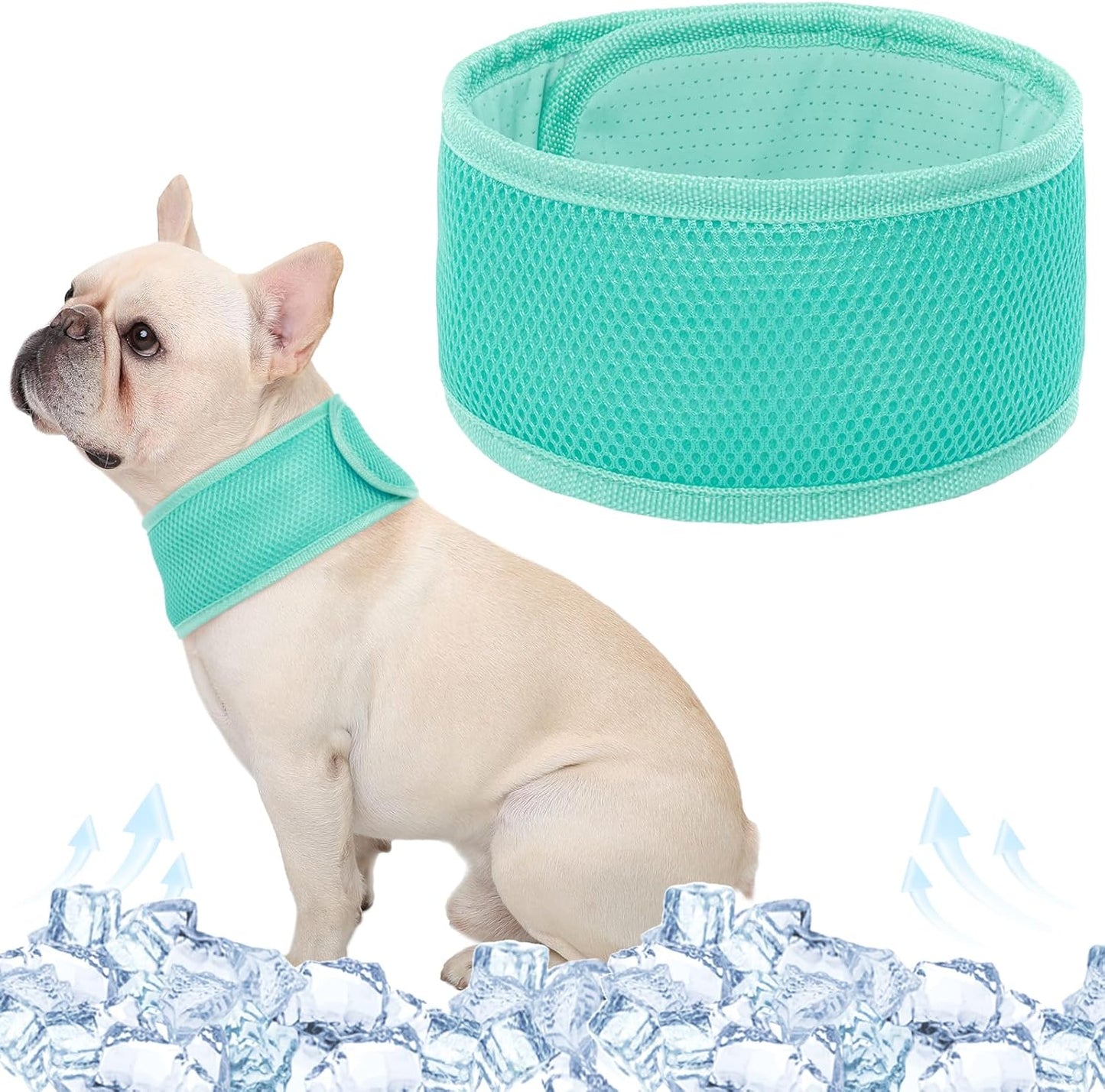 Joy | Hundehalsband mit kühlendem Effekt - Leicht & verstellbar für den Sommer