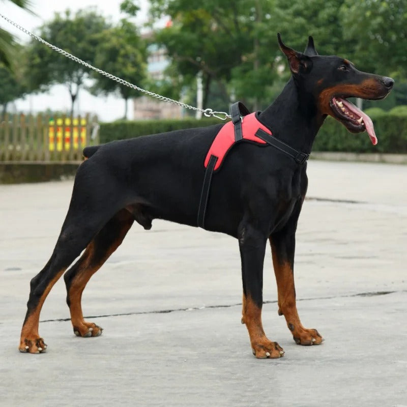 Noah Atmungsaktives Anti-Zug Hundegeschirr