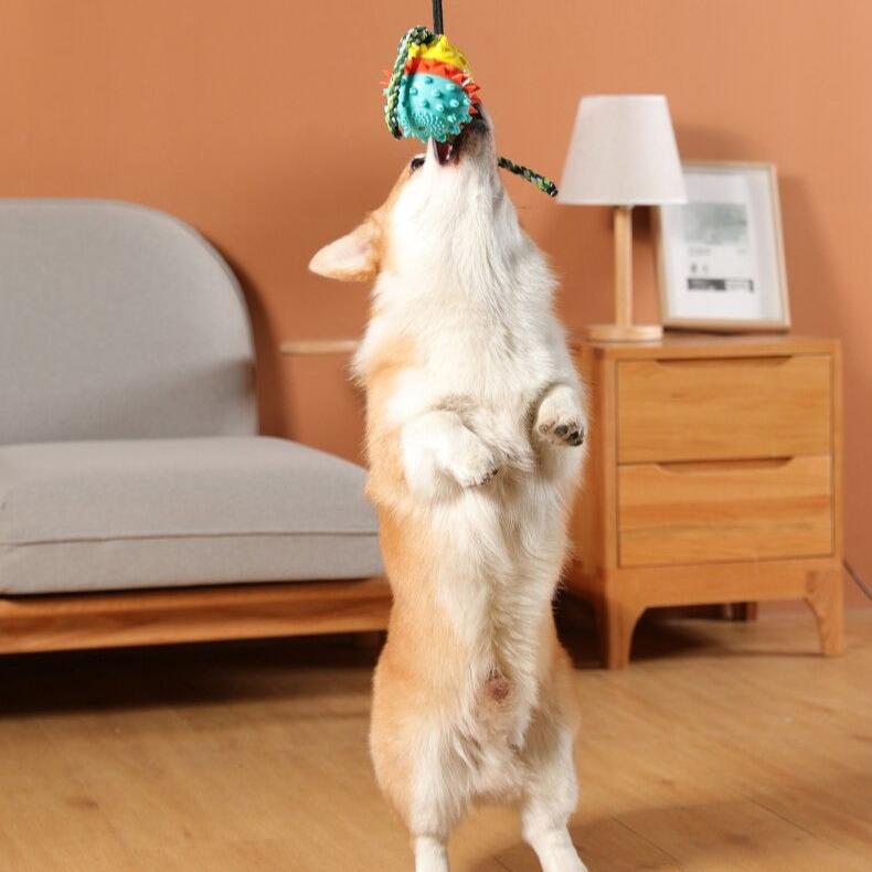 Fluffy | Interaktives Kauspielzeug für Hunde