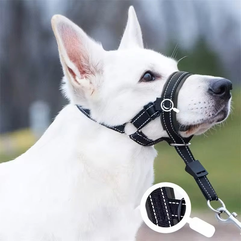 Adele Hunde Maulkorb