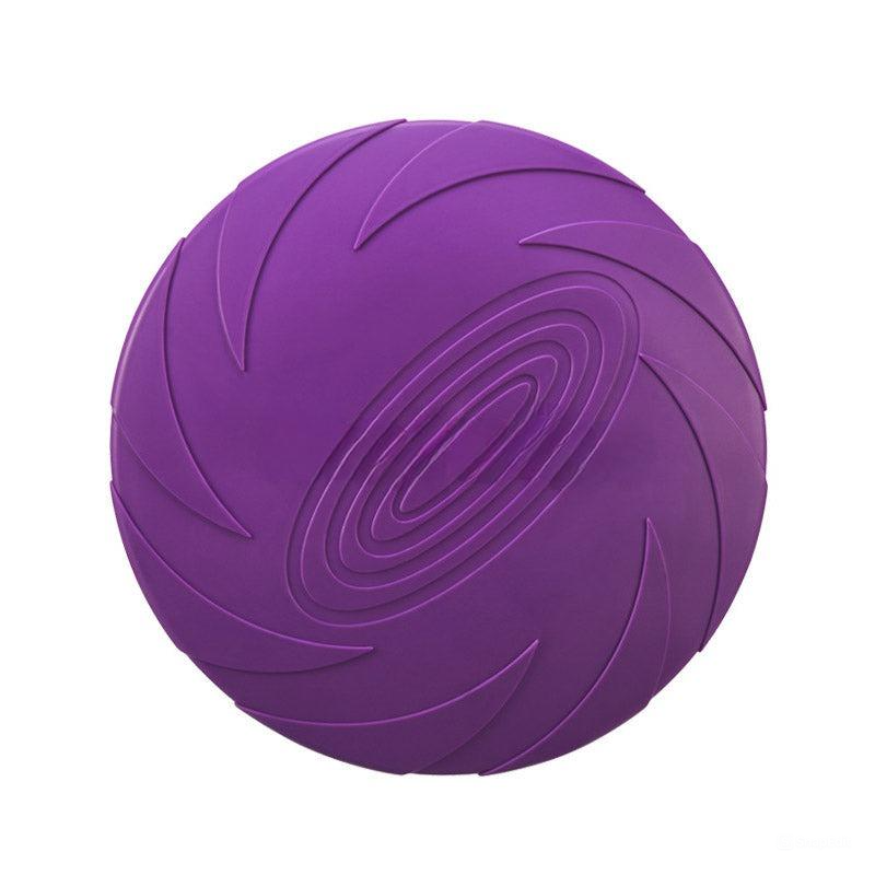 Baxter Frisbee Hund