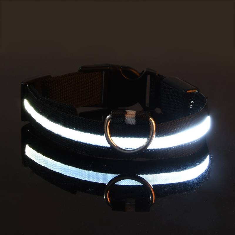 Beck Hunde LED halsband