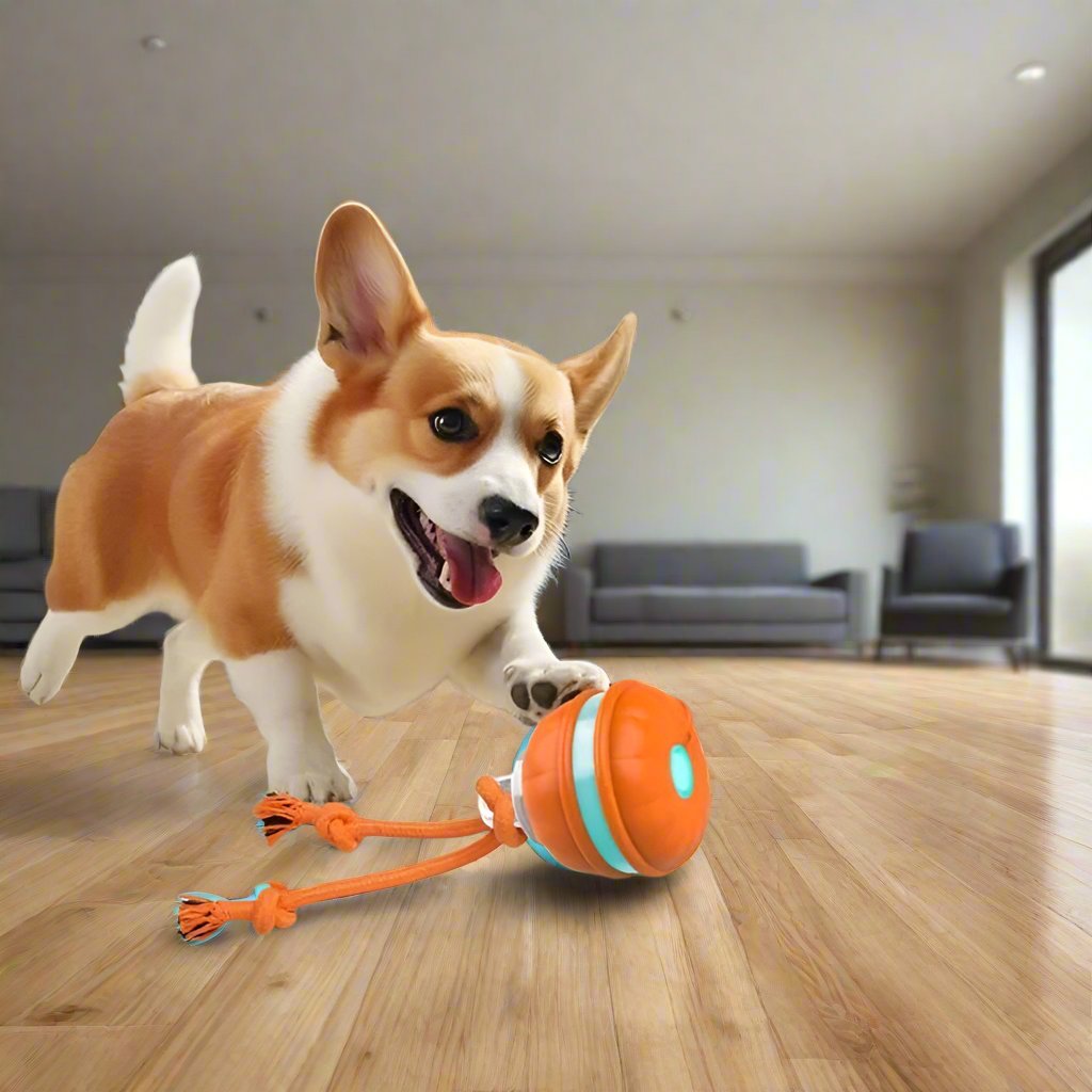 Bello | Interaktives Hundespielzeug