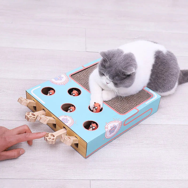 Benny Interaktives Katzenspielzeug